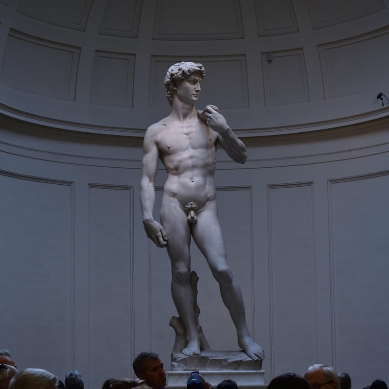 Michelangelo's David